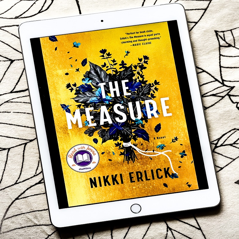 Book Cover of The Measyre ib ipad