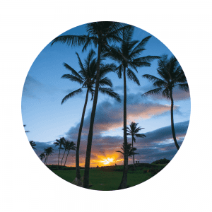 Hawaiian Resort where novel is set