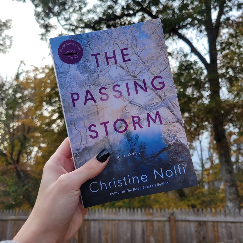 The Cover of The Passing Storm