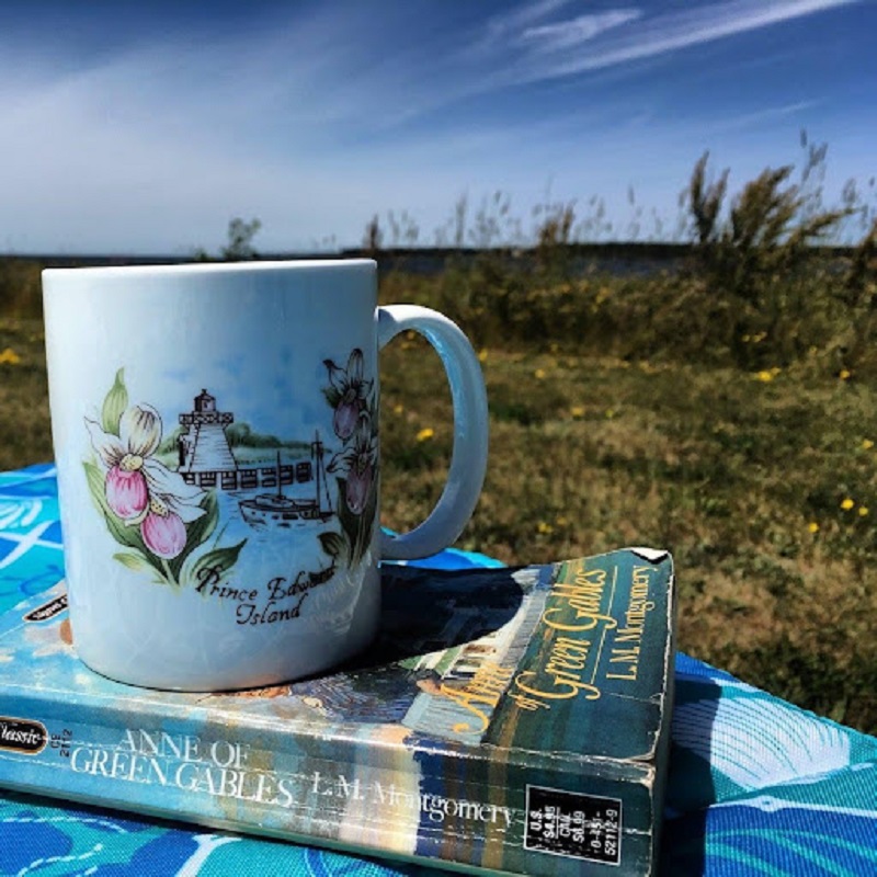 A well-read copy of Anne of Green Gables sits on top of a blue cushion. There is a white mug, painted with a lighthouse from Prince Edward Island on top. In the background is a blue sky with wispy clouds and grasses in various shades of greens and of various lengths. Four Perfect Places to Read Your Next Book